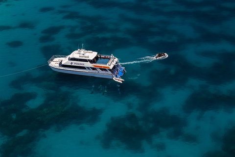 Quicksilver Dive 4 Day PADI Learn To Dive Course - ACT Tourism 1