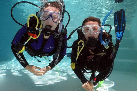 Quicksilver Dive 4 Day PADI Learn To Dive Course - ACT Tourism 2