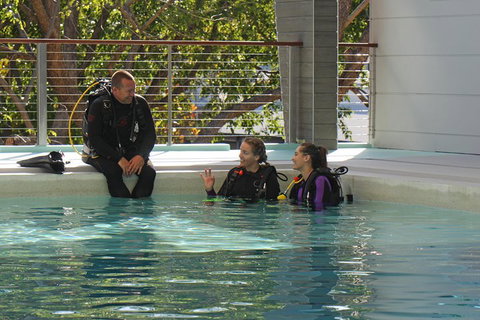Quicksilver Dive 4 Day PADI Learn To Dive Course - ACT Tourism 3