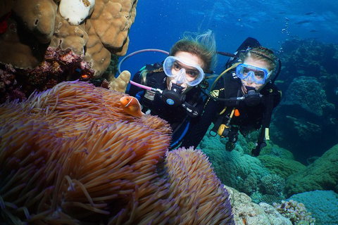 Quicksilver Dive 4 Day PADI Learn To Dive Course - ACT Tourism 4