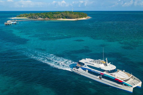 Ultimate 3-Day Great Barrier Reef Cruise Pass - ACT Tourism 4
