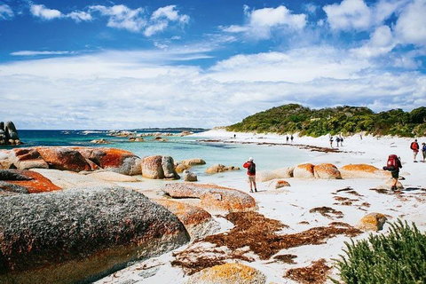 Wineglass Bay Private Charter Service - ACT Tourism 3