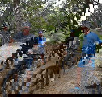 Fully guided E-Mountain Bike Tour on the beautiful Mornington Peninsula. - ACT Tourism