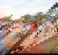 Uluru Kata Tjuta and Kings Canyon Camping Safari from Ayers Rock - ACT Tourism