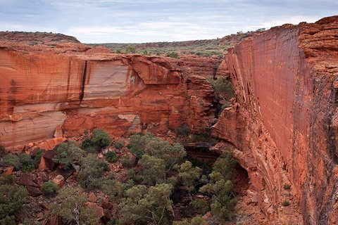 Uluru, Kata Tjuta And Kings Canyon Camping Safari From Ayers Rock - ACT Tourism 1