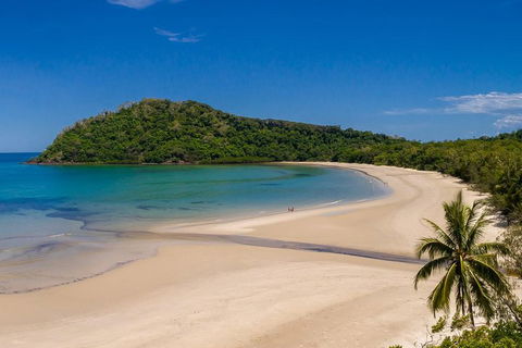 Daintree And Cape Tribulation Tour From Cairns - ACT Tourism 1