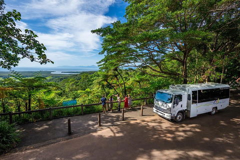 Daintree And Cape Tribulation Tour From Cairns - ACT Tourism 3
