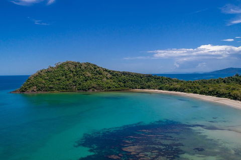 Daintree And Cape Tribulation Tour From Cairns - ACT Tourism 4