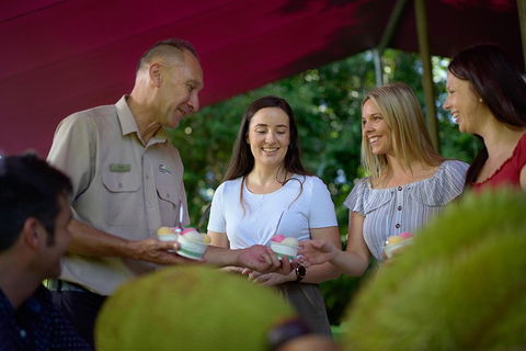 Daintree And Cape Tribulation Tour From Cairns - ACT Tourism 5
