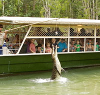 Hartley's Crocodile Adventure Half-Day Tour - ACT Tourism