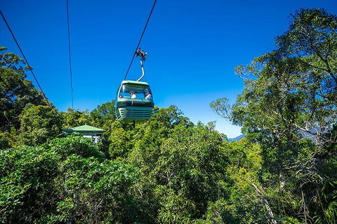 Skyrail Rainforest Cableway Day Trip From Cairns - ACT Tourism 1