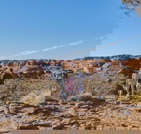 The Amazing Kings Canyon 4-Hours Walking Tour and Hike - ACT Tourism
