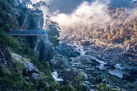 3.5 Hours Walking Tour To Cataract Gorge With Local Guide - ACT Tourism 1