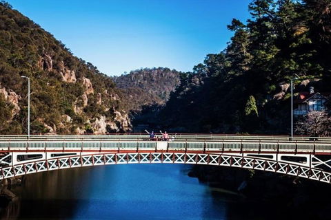 3.5 Hours Walking Tour To Cataract Gorge With Local Guide - ACT Tourism 4