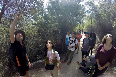 Active Day Tour One-Way From Launceston To Hobart Via Wineglass Bay - ACT Tourism 0