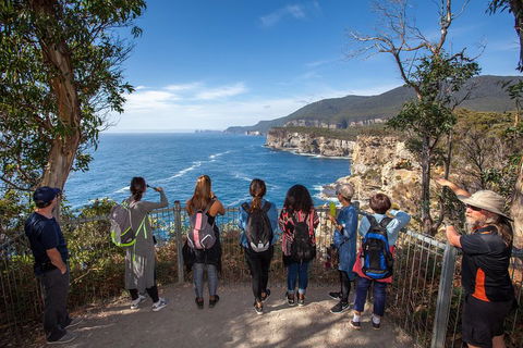 Historic Port Arthur Day Trip From Hobart Including Cliff-Top Walk To Waterfall Bay - ACT Tourism 0