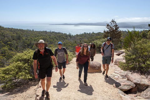 3-Day Tasmania Combo: Launceston To Hobart Active Tour Including Cradle Mountain, Freycinet National Park And Port Arthur - ACT Tourism 5