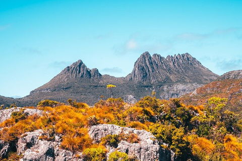 Cradle Mountain National Park Day Tour From Launceston - ACT Tourism 1