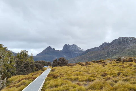 Cradle Mountain National Park Day Tour From Launceston - ACT Tourism 2