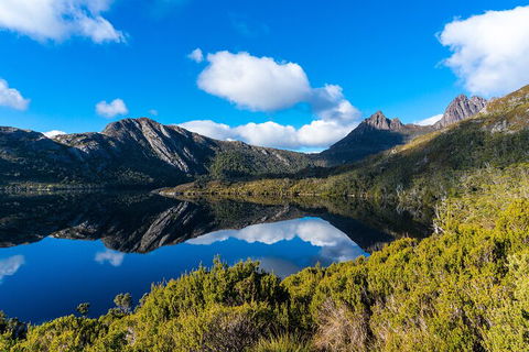 Cradle Mountain National Park Day Tour From Launceston - ACT Tourism 3