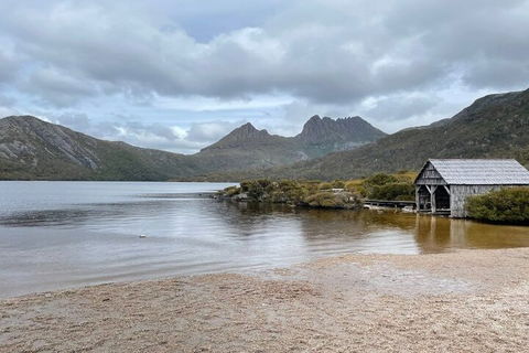 Cradle Mountain National Park Day Tour From Launceston - ACT Tourism 4