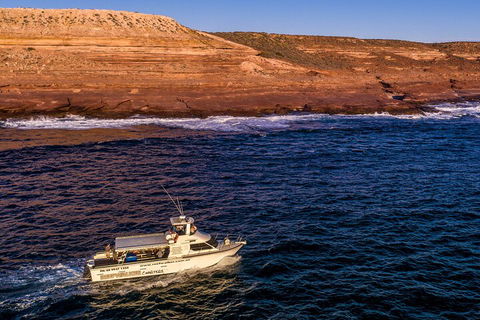 Kalbarri Sunset Coastal Cliff Cruise - ACT Tourism 4
