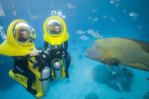 Great Barrier Reef Adventure From Cairns - ACT Tourism 2