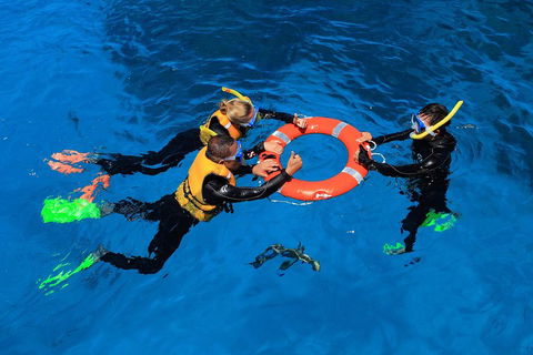 Great Barrier Reef Adventure From Cairns - ACT Tourism 3