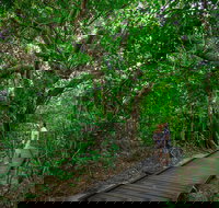 Green Island Eco Adventure from Cairns - ACT Tourism