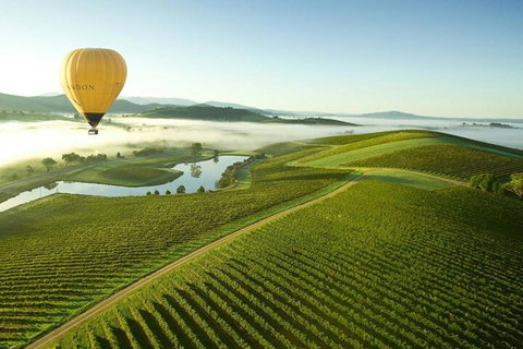 Half-Day Or Full-Day Tour With Private Guide From Melbourne - ACT Tourism 4