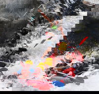 Barron Gorge National Park Half-Day White Water Rafting from Cairns or Port Douglas - ACT Tourism