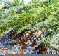 Cape Tribulation Mossman Gorge and Daintree Rainforest Day Trip from Cairns or Port Douglas - ACT Tourism