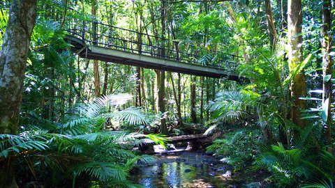 Double Pack-Ancient Rainforest And Waterfalls! - ACT Tourism 0