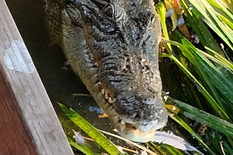 Litchfield Park Adventures And Jumping Crocodile Cruise + Butterfly Farm - ACT Tourism 1