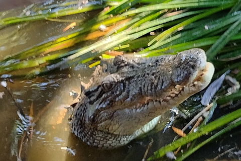 Litchfield Park Adventures And Jumping Crocodile Cruise + Butterfly Farm - ACT Tourism 4