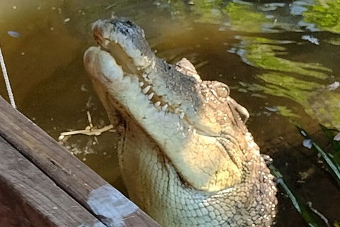 Litchfield Park Adventures And Jumping Crocodile Cruise + Butterfly Farm - ACT Tourism 5