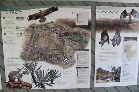 Jumping Crocodile Cruise And Berry Springs Nature Park - ACT Tourism 2