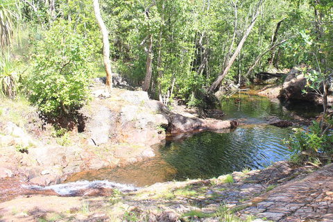 Jumping Crocodile Cruise And Berry Springs Nature Park - ACT Tourism 3