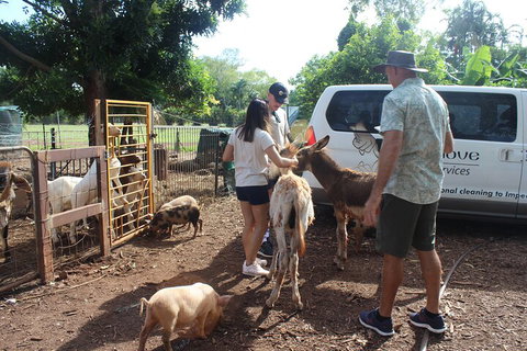 Jumping Crocodile Cruise And Berry Springs Nature Park - ACT Tourism 4