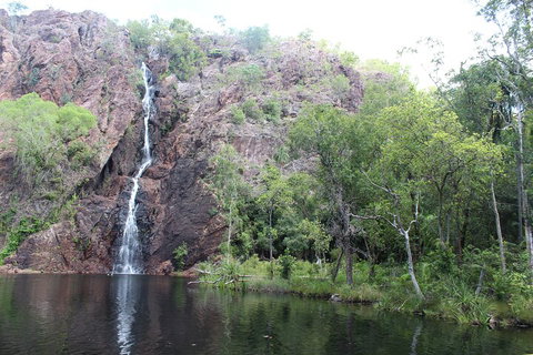 Jumping Crocodile Cruise And Berry Springs Nature Park - ACT Tourism 5