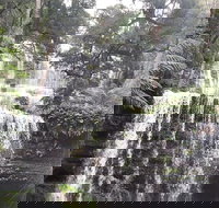 6-Day Hearty Tasmania Tour Tasmania in a Circle - ACT Tourism