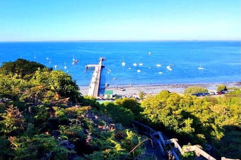 Mornington Peninsula Sightseeing Tour For 2-6 Guests. - ACT Tourism 1