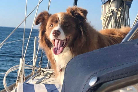 Mornington Peninsula Sightseeing Tour For 2-6 Guests. - ACT Tourism 2