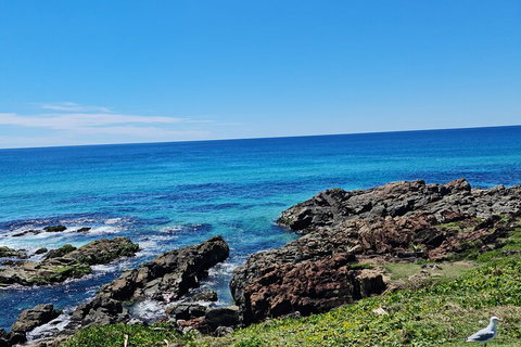 Private Custom Byron Bay Day Out - ACT Tourism 4