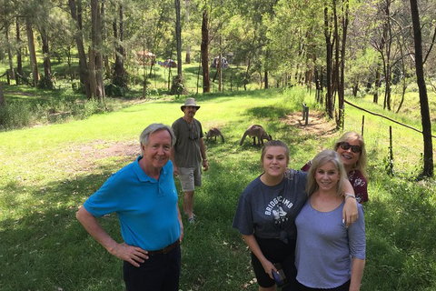 Small Group Blue Mountains Day Tour From Sydney - ACT Tourism 1