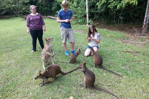 Small Group Blue Mountains Day Tour From Sydney - ACT Tourism 2