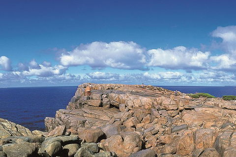 4 Day Tour: Albany, Margaret River, Valley Of The Giants TreeTop Walk From Perth - ACT Tourism 0