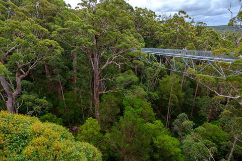 4 Day Tour: Albany, Margaret River, Valley Of The Giants TreeTop Walk From Perth - ACT Tourism 4