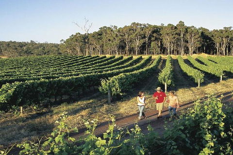 2-Day Margaret River Wine Experience From Perth - ACT Tourism 3