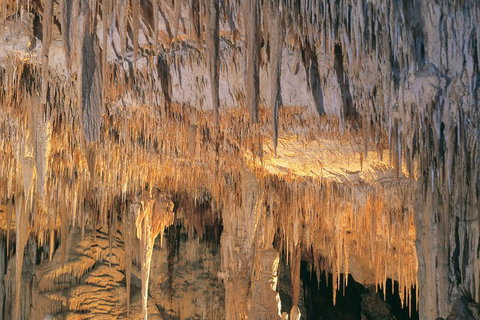 Margaret River, Caves, Wine And Cape Leeuwin Lighthouse Tour From Perth - ACT Tourism 3